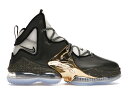 ナイキ NIKE レブロン スニーカー 【 LEBRON 19 CHOSEN 1 ALLSTAR CARGO KHAKI COCONUT MILK METALLIC GOLD BLACK 】