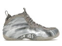 ナイキ フォームポジット ドリーム 灰色 グレー エアフォームポジットワン スニーカー メンズ 【 NIKE AIR FOAMPOSITE ONE DREAM A WORLD GREY / WOLF GREY MULTI COLOR 】