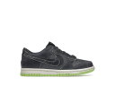 ナイキ NIKE ダンク ダンクロー ジュニア キッズ 【 HALLOWEEN 2022 GS IRON GREY PHANTOM GHOST GREEN 】