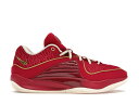 iCL `[  bh S[h VS. Xj[J[ Y y NIKE KD 16 NY / TEAM RED TEAM RED GOLD z