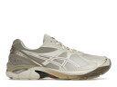 アシックス スニーカー メンズ 【 ASICS GT-2160 DIME ARCTIC WOLF / ARCTIC WOLF LONDON FOG 】