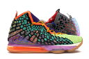 iCL u Xj[J[ Y y NIKE LEBRON 17 WHAT THE / MULTI COLOR MULTI COLOR z