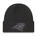 パンサーズ コア クラシック ニット 灰色 グレー ニューエラ ジュニア キッズ 【 NEW ERA NEW ERA PANTHERS CORE CLASSIC KNIT HAT - BOYS' GRADE SCHOOL / GREY 】 ベビー マタニティ キャップ 帽子 キャップ