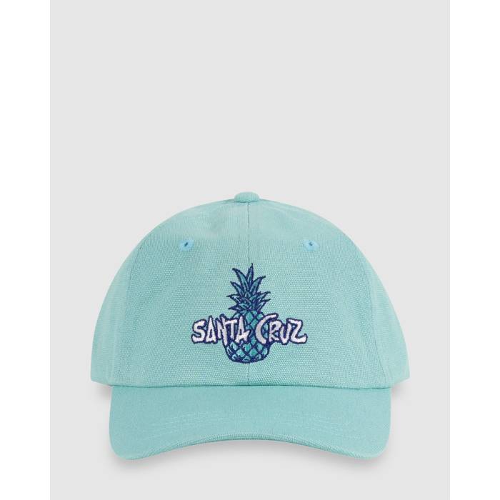󥿥롼 Santa Cruz  Boys 8-16 Sc Tropic Cap Girls Light Green  å ...
