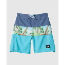 クイックシルバー Quiksilver 【 Boys 2-7 Everyday Panel 13