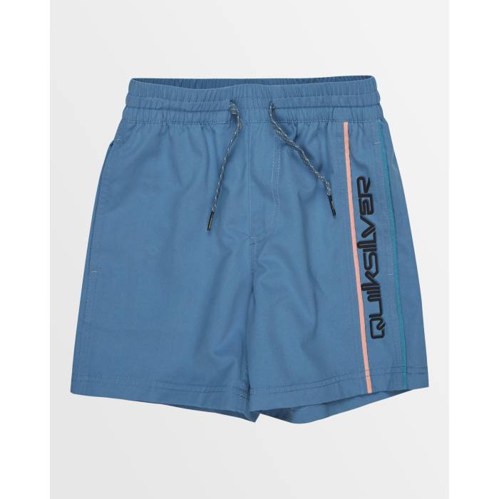楽天スニケスクイックシルバー Quiksilver 【 Boys 2-7 Everyday Vert Volley 12