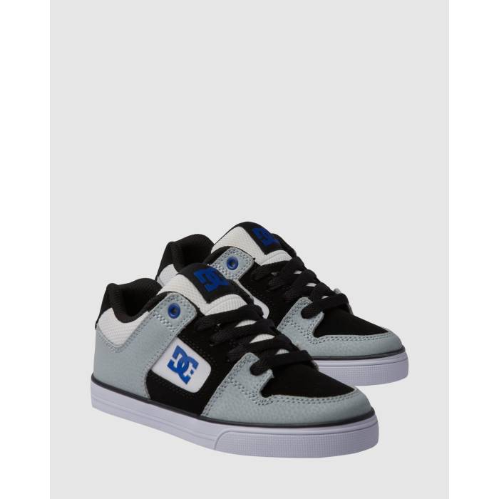 ǥ 塼 Dc Shoes  Boys 4-16 Pure Leather Shoes Boys White/Grey/Blu...