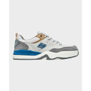 ディーシー シューズ Dc Shoes 【 Mens Dc Ascend Skate Shoes Mens Grey/Blue/Grey 】 メンズ DC ディ...