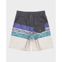 クイックシルバー Quiksilver 【 Boys 2-7 Everyday Panel Boy 13