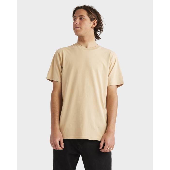 åС Quiksilver  Mens Salt Water Crew T-Shirt Mens Khaki   ...