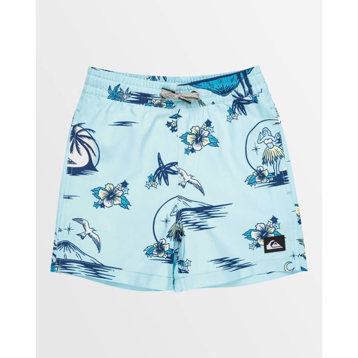 クイックシルバー Quiksilver 【 Boys 2-7 Everyday Mix 12