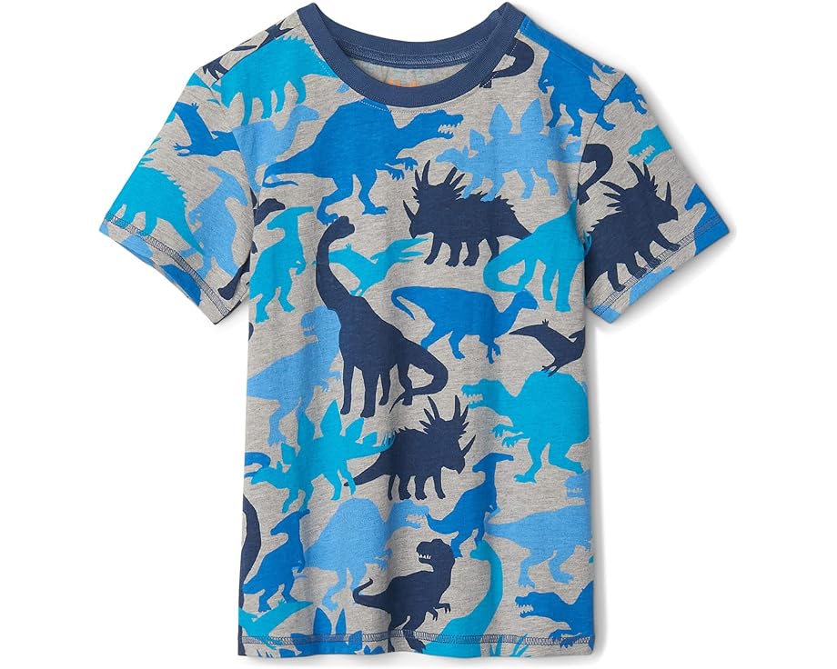 ハットレイ ブルース グラフィック Tシャツ 灰色 グレー ジュニア キッズ 【 HATLEY KIDS DINO BLUES GRAPHIC TEE / GREY 】 ベビー マタニティ トップス カットソー