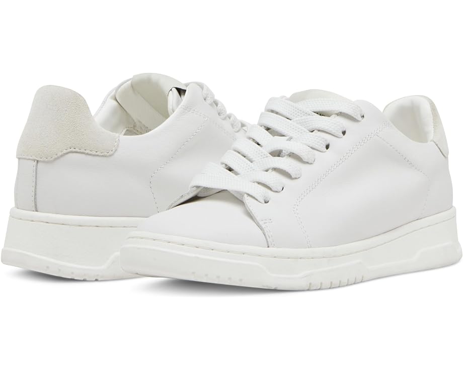 Steve madden メンズ フィニアス レザー スニーカー ホワイト 楽天市場】白 ホワイト(ブランドスティーブ・マデン)(靴)の通販