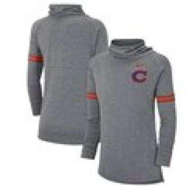 ナイキ NIKE クレムソン タイガース レディース ボルト スリーブ スウェットシャツ トレーナー 灰色 グレー グレイ WOMEN'S 【 SLEEVE GRAY NIKE VAULT STRIPED FUNNEL NECK SWEATSHIRT HEATHERED 】