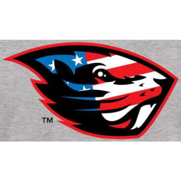 ファナティクス FANATICS BRANDED オレゴン スケートボード ビーバーズ スリーブ Tシャツ オレゴンステイト 長袖 【 STATE SLEEVE FANATICS BRANDED BEAVER SALUTE TSHIRT ASH 】 メンズファッション トップス