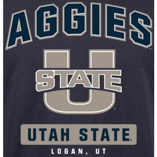 ファナティクス FANATICS BRANDED ユタ スケートボード アギーズ キャンパス アイコン スリーブ Tシャツ 紺色 ネイビー 【大きめ】 長袖 【 STATE SLEEVE FANATICS BRANDED UTAH AGGIES CAMPUS ICON TSHIRT NAVY