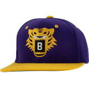 xCg XibvobN obO Lbv Lbv Xq S[h  p[v F CG[ Y y BAIT TIGER SNAPBACK CAP (PURPLE / GOLD YELLOW) PURPLE GOLD YELLOW z YLbv Xq