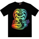 Tシャツ 黒色 ブラック ロックスミス メンズ 【 ROCK SMITH COBRA TEE (BLACK) / BLACK 】 メンズファッション トップス カットソー