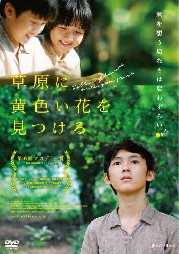 【送料無料】草原に黄色い花を見つける/ティン・ヴィン[DVD]【返品種別A】