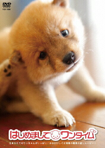 品　番：YRBN-90081発売日：2009年11月25日発売出荷目安：5〜10日□「返品種別」について詳しくはこちら□品　番：YRBN-90081発売日：2009年11月25日発売出荷目安：5〜10日□「返品種別」について詳しくはこちら□DVDその他発売元：よしもとミュージックBS朝日で毎週日曜放送のテレビ番組「愛のワンニャンタイム」から人気コーナー「はじめまして」がDVD化。全国のどこかで生まれた、ワンちゃんのかわいい赤ちゃん映像をLOVERS　POPの音楽に乗せて送る心温まる癒しムービー。制作年：2009制作国：日本ディスクタイプ：片面1層カラー：カラー収録情報《1枚組》はじめまして ワンタイム