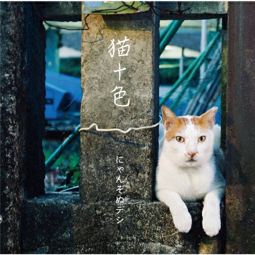 【送料無料】猫十色/にゃんぞぬデシ[CD]【返品種別A】