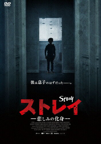 【送料無料】ストレイ 悲しみの化身/エレナ・リャドワ[DVD]【返品種別A】