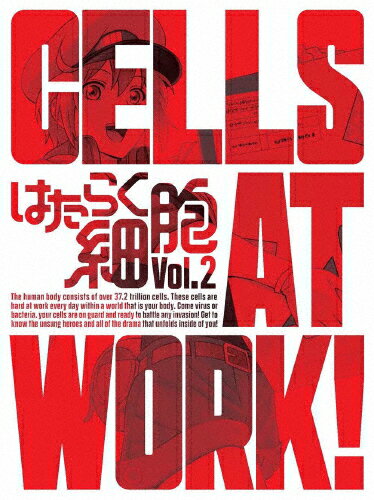 はたらく細胞6巻発売日 みんな探してる人気モノ はたらく細胞6巻発売日 本 雑誌 コミック はたらく細胞6巻発売日 みんな探してる人気モノ はたらく細胞6巻発売日 本 雑誌 コミック