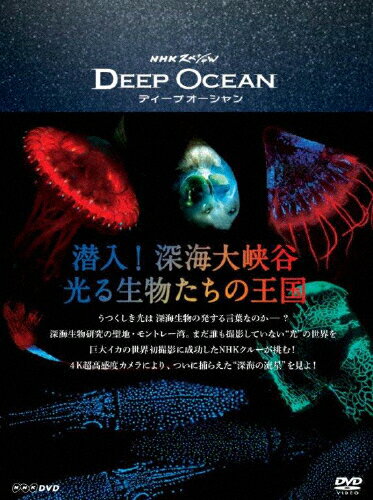 【送料無料】NHKスペシャル ディープ オーシャン 潜入!深海大峡谷 光る生物たちの王国/ドキュメント[Blu-ray]【返品種別A】