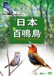 【送料無料】[枚数限定]日本百鳴鳥/映像と鳴き声で愉しむ野鳥図鑑/動物[DVD]【返品種別A】