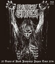 【送料無料】20 YEARS OF DARK INSANITY JAPAN TOUR 2016 Blu-ray/BLACK EARTH[Blu-ray]【返品種別A】