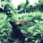 Salamander/ELLEGARDEN[CD]【返品種別A】