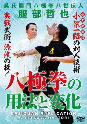 型を身につける八極拳: 大八極・小八極 型に関する何からなに