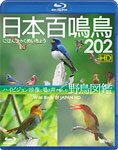 【送料無料】シンフォレストBlu-ray 日本百鳴鳥 202 HD ハイビジョン映像と鳴き声で愉しむ野鳥図鑑/教養[Blu-ray]【返品種別A】