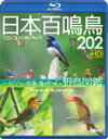 シンフォレストBlu-ray 日本百鳴鳥 202 HD ハイビジョン映像と鳴き声で愉しむ野鳥図鑑/教養[Blu-ray]