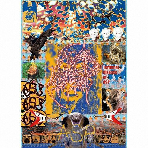 ̵[][]Terminal disease of ASP()/ASP[CD+Blu-ray]ʼA...