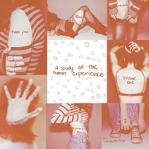 【送料無料】[枚数限定][限定]A STUDY OF THE HUMAN EXPERIENCE VOLUMES 1 AND 2(限定盤)【アナログ盤】【輸入盤】▼/ゲイル[ETC]【返品種別A】