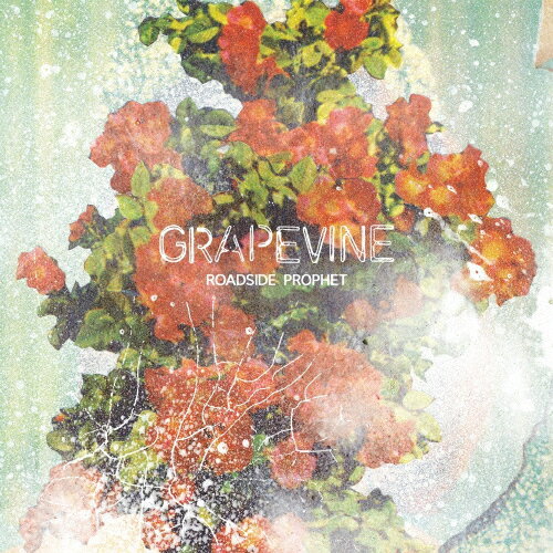 ROADSIDE PROPHET/GRAPEVINE CD 通常盤【返品種別A】