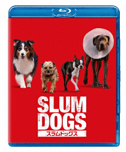 スラムドッグス/ウィル・フォーテ[Blu-ray]【返品種別A】