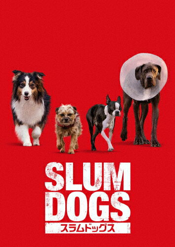 品　番：GNBF-5897発売日：2024年10月09日発売出荷目安：2〜5日□「返品種別」について詳しくはこちら□品　番：GNBF-5897発売日：2024年10月09日発売出荷目安：2〜5日□「返品種別」について詳しくはこちら□DVD映画(洋画)発売元：NBCユニバーサル・エンターテイメントジャパンPG12ある日犬のレジーは、飼い主ダグに家から遠い場所に捨てられてしまう。しかしピュアなレジーは投げられたボールを取りに行く、いつもの“取ってこいクソッタレ”ゲームだと信じていた。家を目指してさまよっていると、ノラ犬界のカリスマ・バグと出会う。レジーの話を聞いたバグは「捨てられたんだよ。お前は今日からノラ犬だ！」と断言。飼い主が最低なヤツだと気付いたレジーは、まさかの方法で復讐することを決意する。PG12制作年：2023制作国：アメリカディスクタイプ：片面2層カラー：カラー映像サイズ：ビスタアスペクト：スクイーズ映像特典：“喋る犬”ができるまで／メイキング／衝撃シーンの裏側／ウィル・フォーテの素顔／アニマル・トレーナーの挑戦／新たな家族／音声解説音声仕様：5.1chサラウンドドルビーデジタル英語英語字幕/日本語字幕5.1chサラウンドドルビーデジタル日本語収録情報《1枚組》スラムドッグス監督ジョシュ・グリーンバウム脚本ダン・ペロー製作ダン・ペローエリック・フェイグルイ・ルテリエ出演ウィル・フォーテウィル・フェレルジェイミー・フォックスアイラ・フィッシャーランドール・パーク