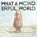 What A Wonderful World/堀込泰行 CD 【返品種別A】