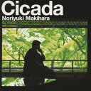 Cicada/槇原敬之 CD 通常盤【返品種別A】