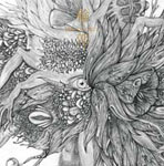 枚数限定 限定盤 輪郭(初回生産限定盤)/DIR EN GREY CD DVD 【返品種別A】