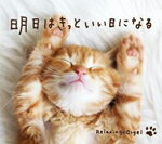 明日はきっといい日になる/オムニバス[CD]【返品種別A】