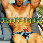 イケナイ太陽/ORANGE RANGE[CD]通常盤【返品種別A】