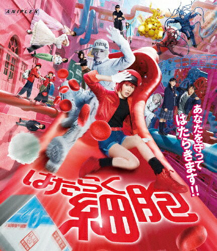 1～4巻セット はたらく細胞 BLACK DVD ブラック CD・DVD・ブルーレイ