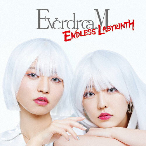 ENDLESS LABYRINTH(DVD付)/EverdreaM[CD+DVD]【返品種別A】