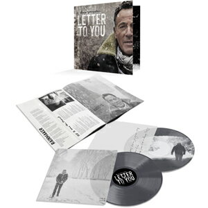    [][]LETTER TO YOU (GRAY VINYL) A  AiO   BRUCE SPRINGSTEEN[ETC] ԕiA 