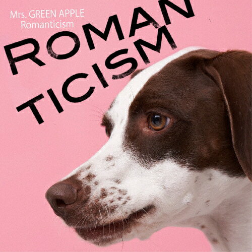 ޥ/Mrs.GREEN APPLE[CD]̾סʼA