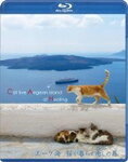 【送料無料】エーゲ海・猫が暮らす癒しの島[ブルーレイ]/動物[Blu-ray]【返品種別A】