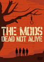 【送料無料】DEAD NOT ALIVE/THE MODS[DVD]【返品種別A】